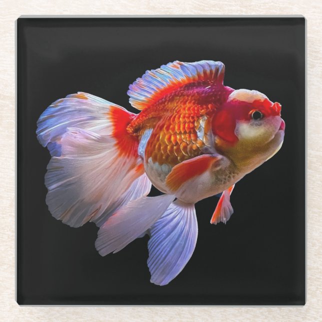 Goldfish mit schwarzem Hintergrund Glasuntersetzer (Vorderseite)