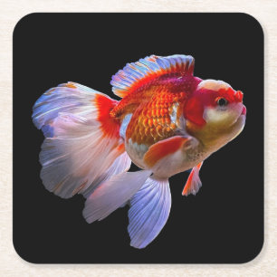 Goldfish mit schwarzem Hintergrund Rechteckiger Pappuntersetzer