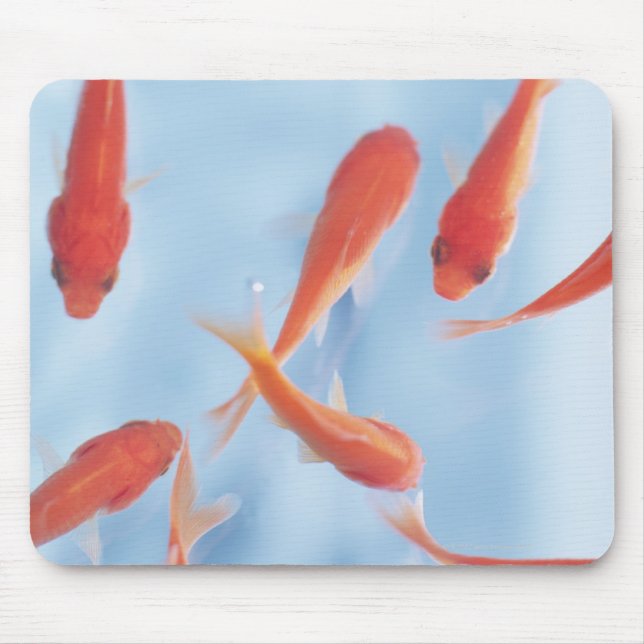 Goldfish Mousepad (Vorne)