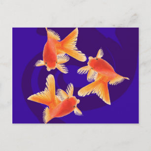 Goldfish Postkarte