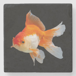 Goldfish Steinuntersetzer