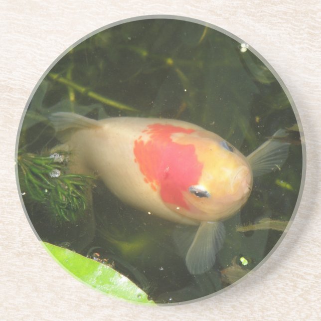 Goldfish Untersetzer (Vorne)