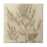 Goldfolie II Fliese<br><div class="desc">floral</div>
