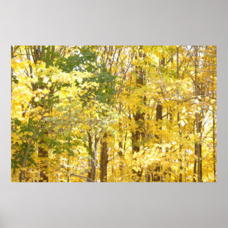 Goldfolie Poster