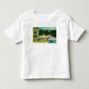 Goldförderung in Kalifornien StateState Kleinkind T-shirt