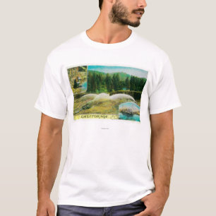 Goldförderung in Kalifornien StateState T-Shirt