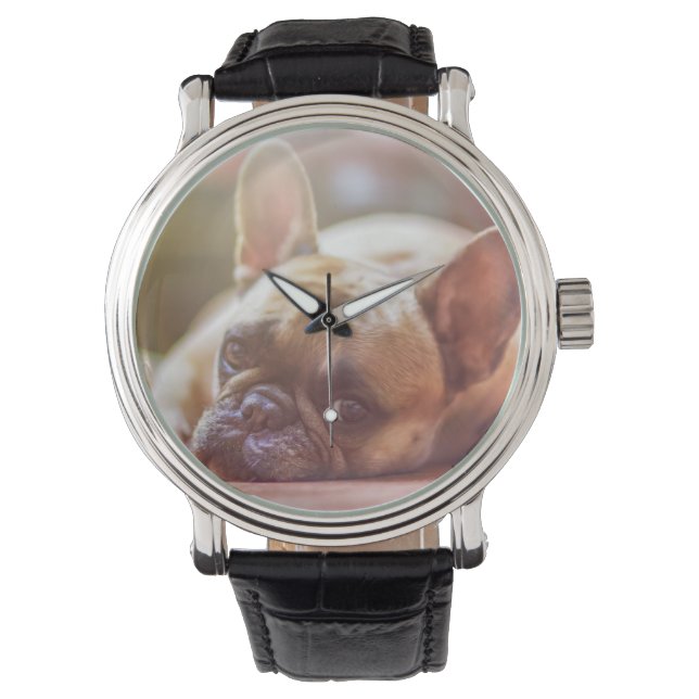Goldhunde Armbanduhr (Vorderseite)