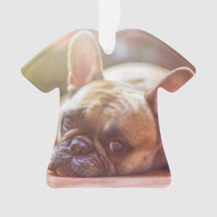 Goldhunde Ornament