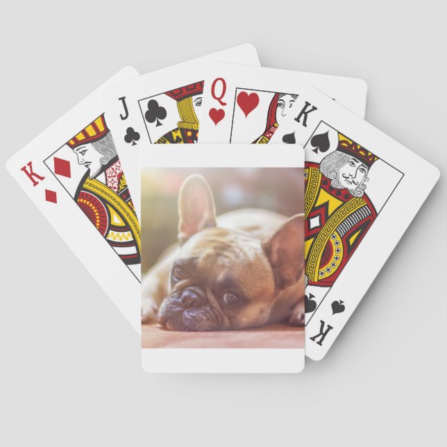 Goldhunde Spielkarten (Rückseite)