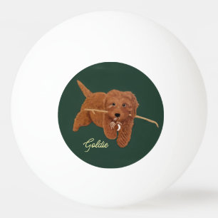 Goldie Golden Doodle Tischtennisball
