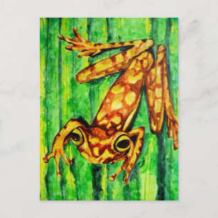Goldie La Grenouille Arbre Cartes Postales