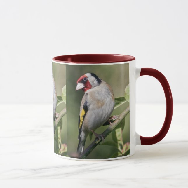 Goldie Tasse (Rechts)