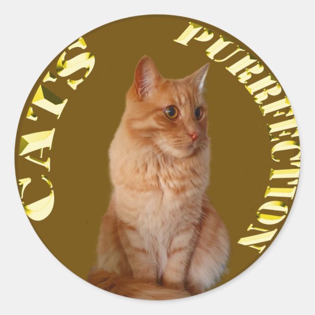 Goldkatzenjacke mit Ingwerkatze, Rundaufkleber Runder Aufkleber (Vorderseite)