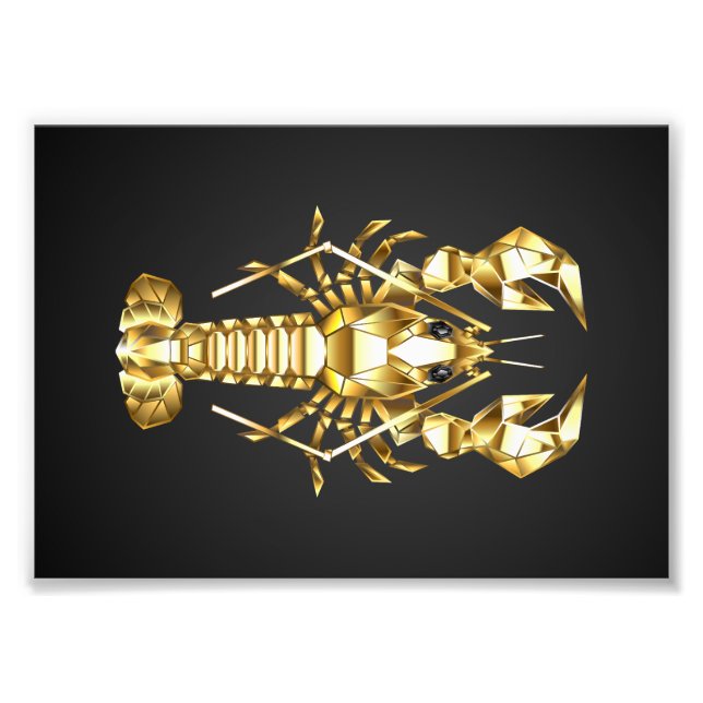 Goldlachs Fotodruck (Vorne)