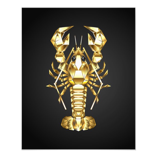 Goldlachs Fotodruck (Vorne)