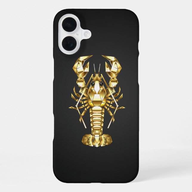 Goldlachs iPhone 16 Plus Hülle (Rückseite)