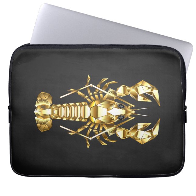 Goldlachs Laptopschutzhülle (Vorderseite)