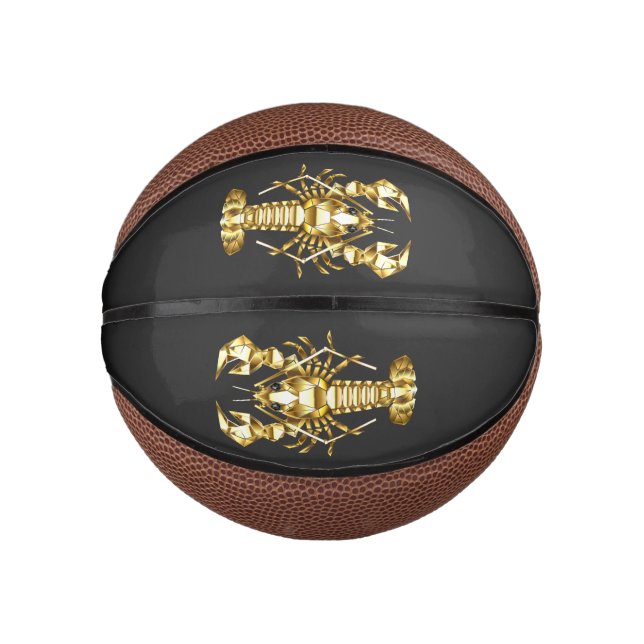 Goldlachs Mini Basketball (Vorderseite)