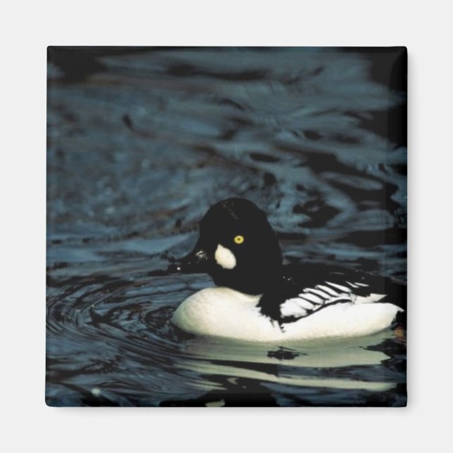 Goldmedaille Magnet (Vorne)