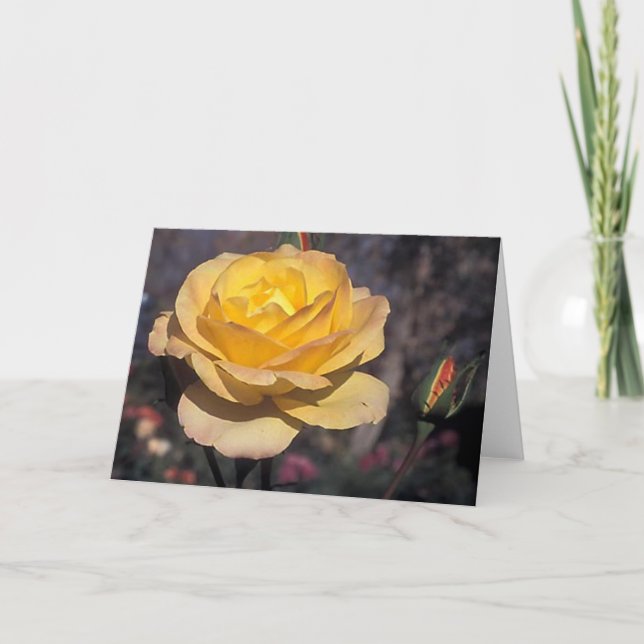 Goldmedaille-Rose Karte (Vorderseite)