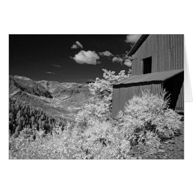 Goldmine (Vorderseite (Horizontal))