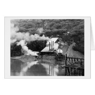 Goldmine in Valdez, Alaska-Fotografie