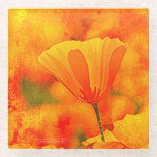 Goldorange Kalifornischer Mohn "Land Of Orange" Glasuntersetzer
