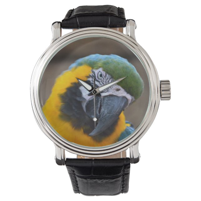 Goldpapagei Armbanduhr (Vorderseite)