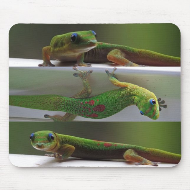 Goldstaub Gecko Mousepad (Vorne)