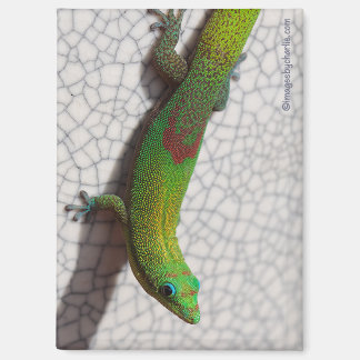 Goldstaub-Tag-Gecko-Kühlschrankmagnet Magnet