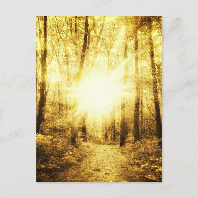 GOLDSUN2 POSTCARD POSTKARTE (Vorderseite)