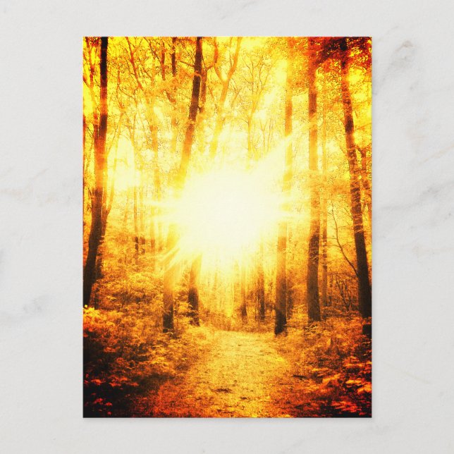 GOLDSUN BRIGHT POSTCARD POSTKARTE (Vorderseite)