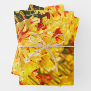 Goldwachstum Geschenkpapier Set