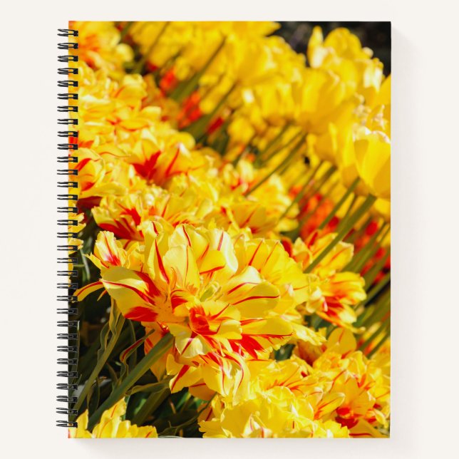 Goldwachstum Notizbuch (Vorderseite)