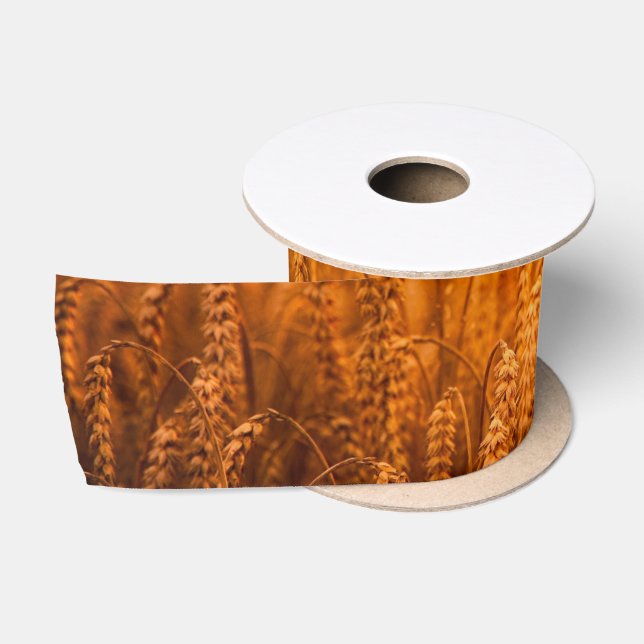 Goldweizenernte Satinband (Spule)