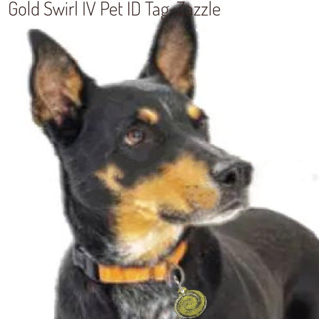 Goldwirbel IV Haustiermarke (Von Creator hochgeladen)