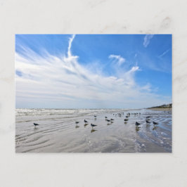 Golf am Galveston Island Beach, Texas Postkarte