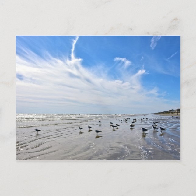 Golf am Galveston Island Beach, Texas Postkarte (Vorderseite)
