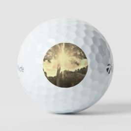 GOLF BALLS TAYLOR MAX TP5 GOLFBALL