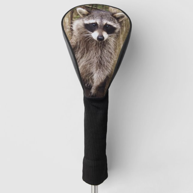 Golf-Kopf-Abdeckung mit Waschbären Golf Headcover (Vorderseite)