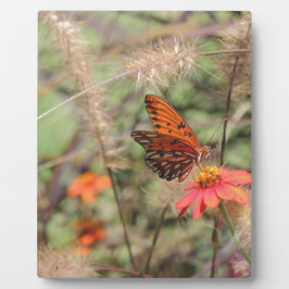 Golf von Fritillon in Zinnia Fotoplatte