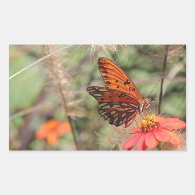 Golf von Fritillon in Zinnia Rechteckiger Aufkleber (Vorderseite)