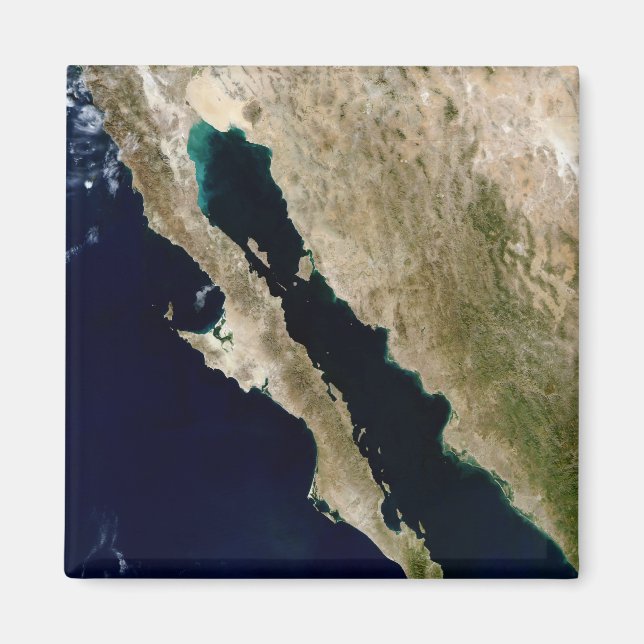 Golf von Kalifornien Magnet (Vorne)