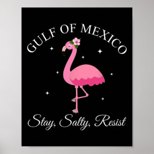 Golf von Mexiko Bleibe Sally Resist Poster
