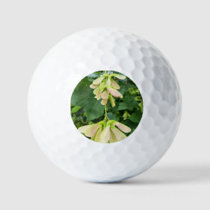 Golfball White Flower Nature