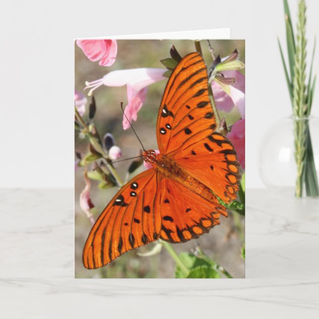 Golffritillary-Schmetterling Notecard Karte (Vorderseite)