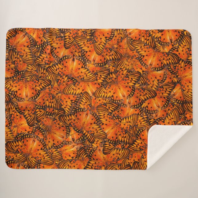 Golffritille oder Passionsschmetterlinge, orange Sherpadecke (Vorderseite (Horizontal))