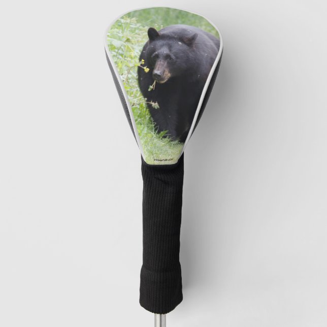 Golfkopfabdeckung mit Schwarzbär Golf Headcover (Vorderseite)