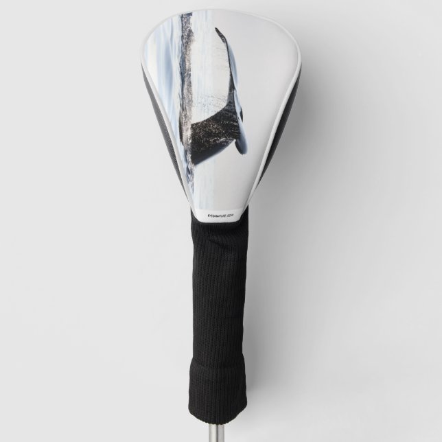Golfkopfabdeckung mit Whale-Schwanz Golf Headcover (Vorderseite)