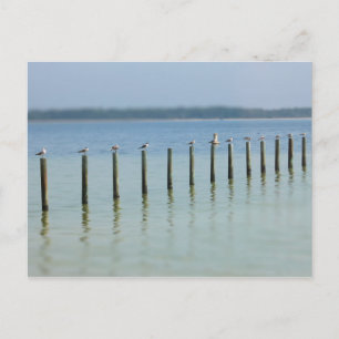 Golfküste - Lassen Sie uns auf der Postkarte bleib